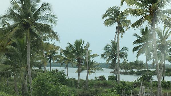 Kochi (24)